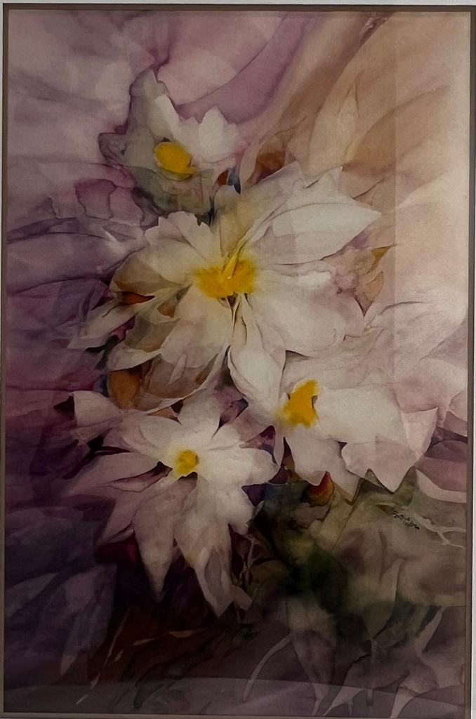 Galal ELHussieny53