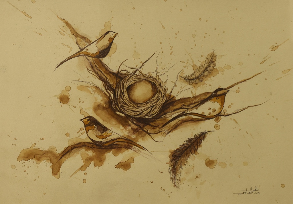 Noha Elhamy 
