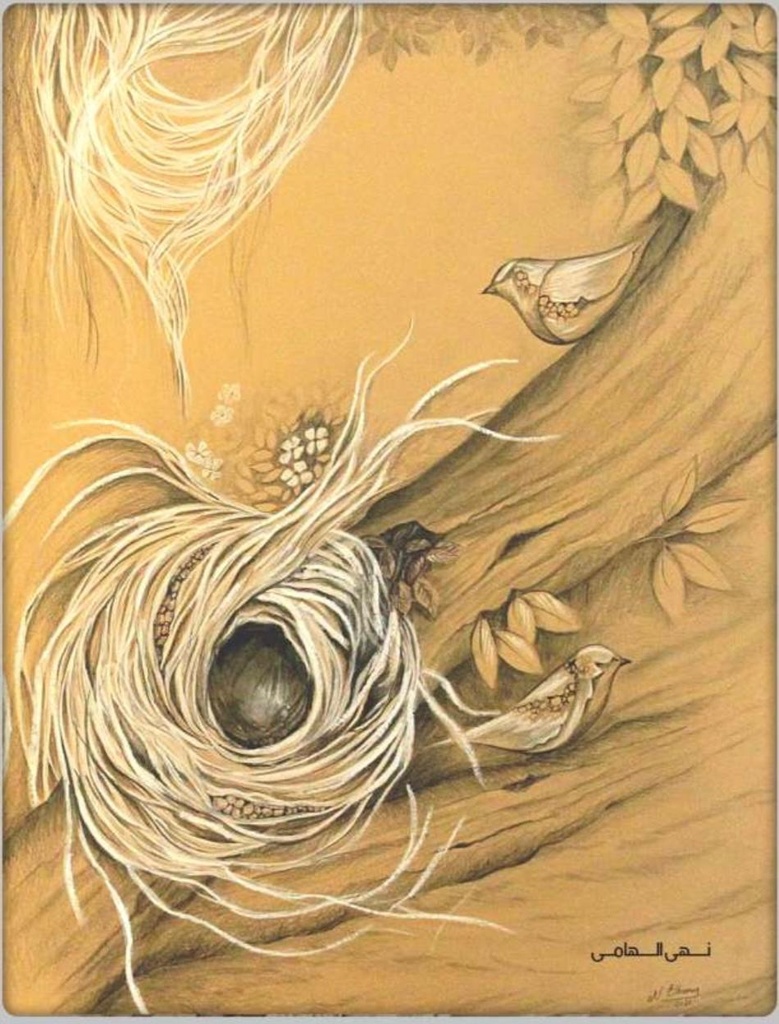 Noha Elhamy 