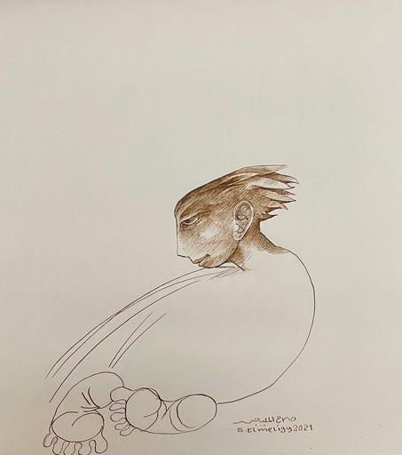 [PROD_0001623] Salah ElMeligy