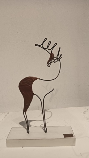 [PROD_0001738] Galal Gomaa