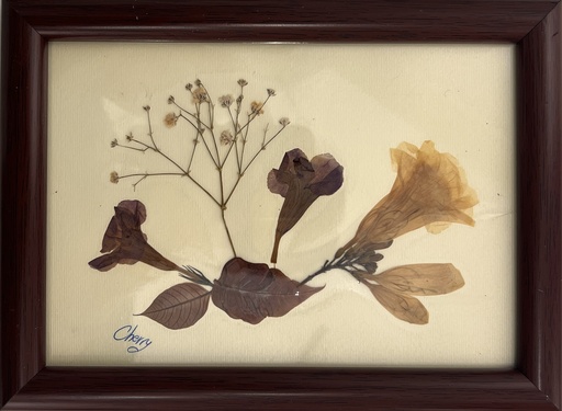 [PROD_0002374] Cherine Osman