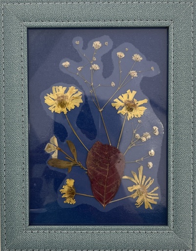 [PROD_0002378] Cherine Osman