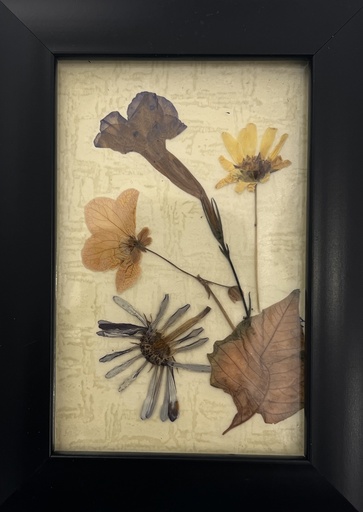 [PROD_0002381] Cherine Osman