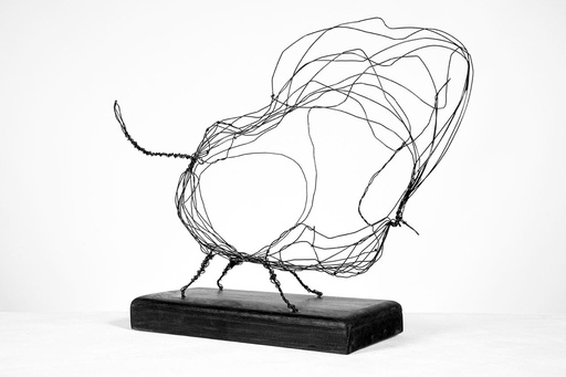 [PROD_0002484] Galal Gomaa