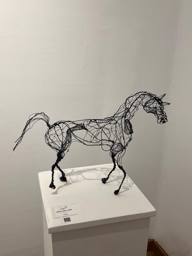 [PROD_0002665] Galal Gomaa